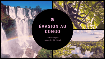 Escape to Congo